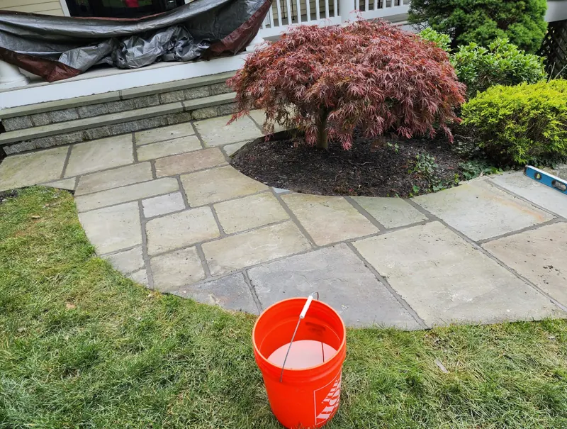 A bluestone walk curving around a planted bed with a Japanese maple, laid in a random rectangular pattern.